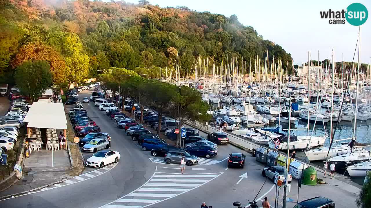 Webcam Bahía de Sistiana – Vista en directo del puerto deportivo y la costa