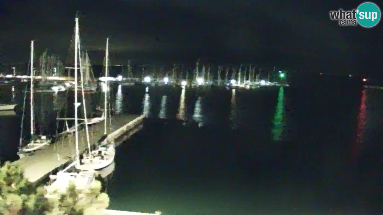 Webcam Sistiana Baia – Live View of the Marina and Gulf