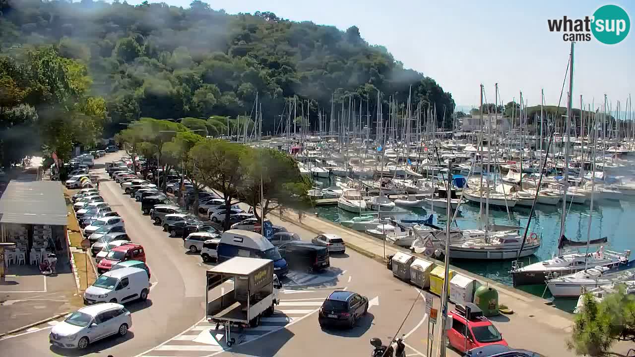 Webcam Sistiana Baia – Live View of the Marina and Gulf