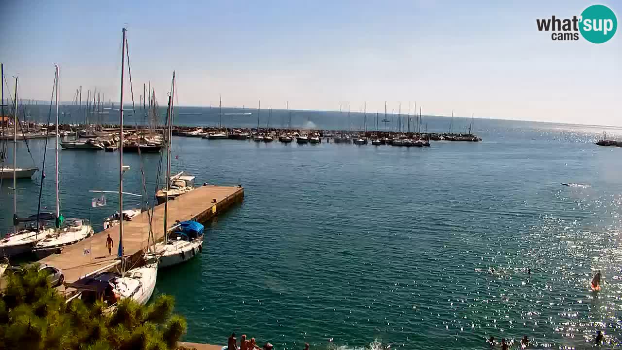 Webcam Bahía de Sistiana – Vista en directo del puerto deportivo y la costa
