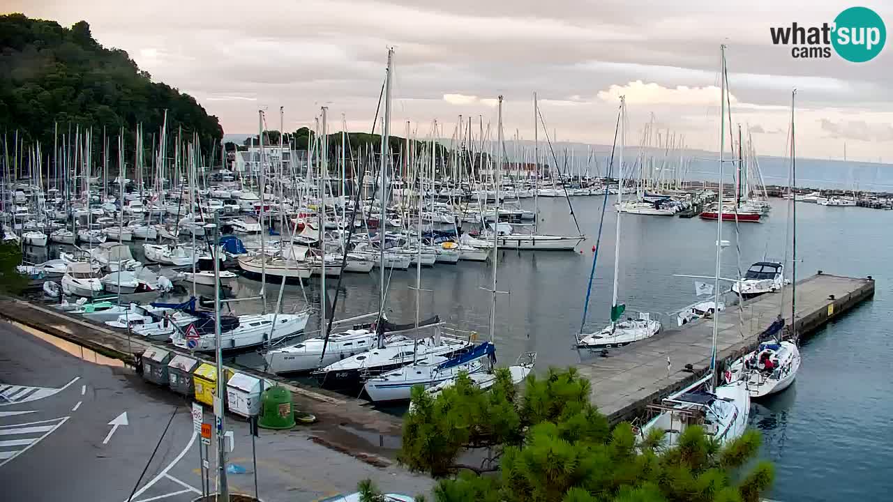 Webcam Sistiana Baia – Live View of the Marina and Gulf