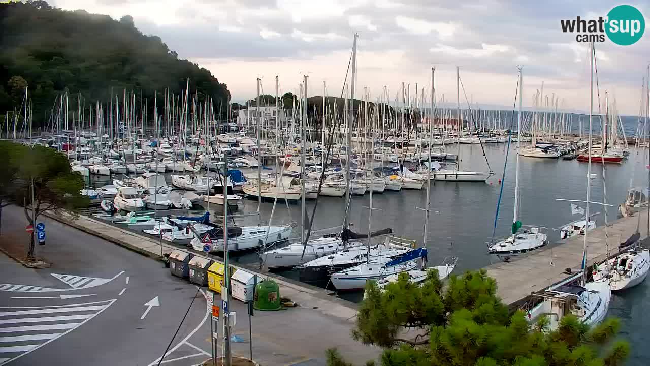 Spletna kamera Sesljanski zaliv – Pogled v živo na marino in zaliv