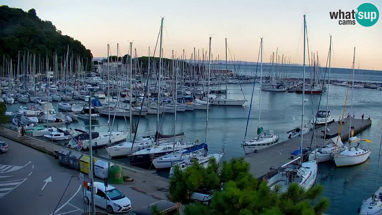 Spletna kamera Sesljanski zaliv – Pogled v živo na marino in zaliv
