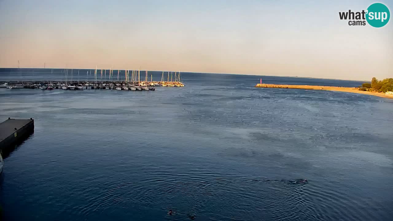 Webcam Baie de Sistiana – Vue en direct de la marina et de la baie