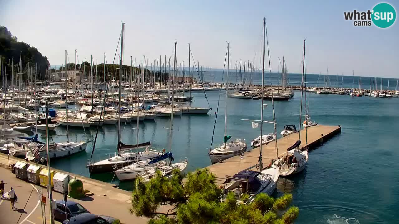Webcam Bahía de Sistiana – Vista en directo del puerto deportivo y la costa