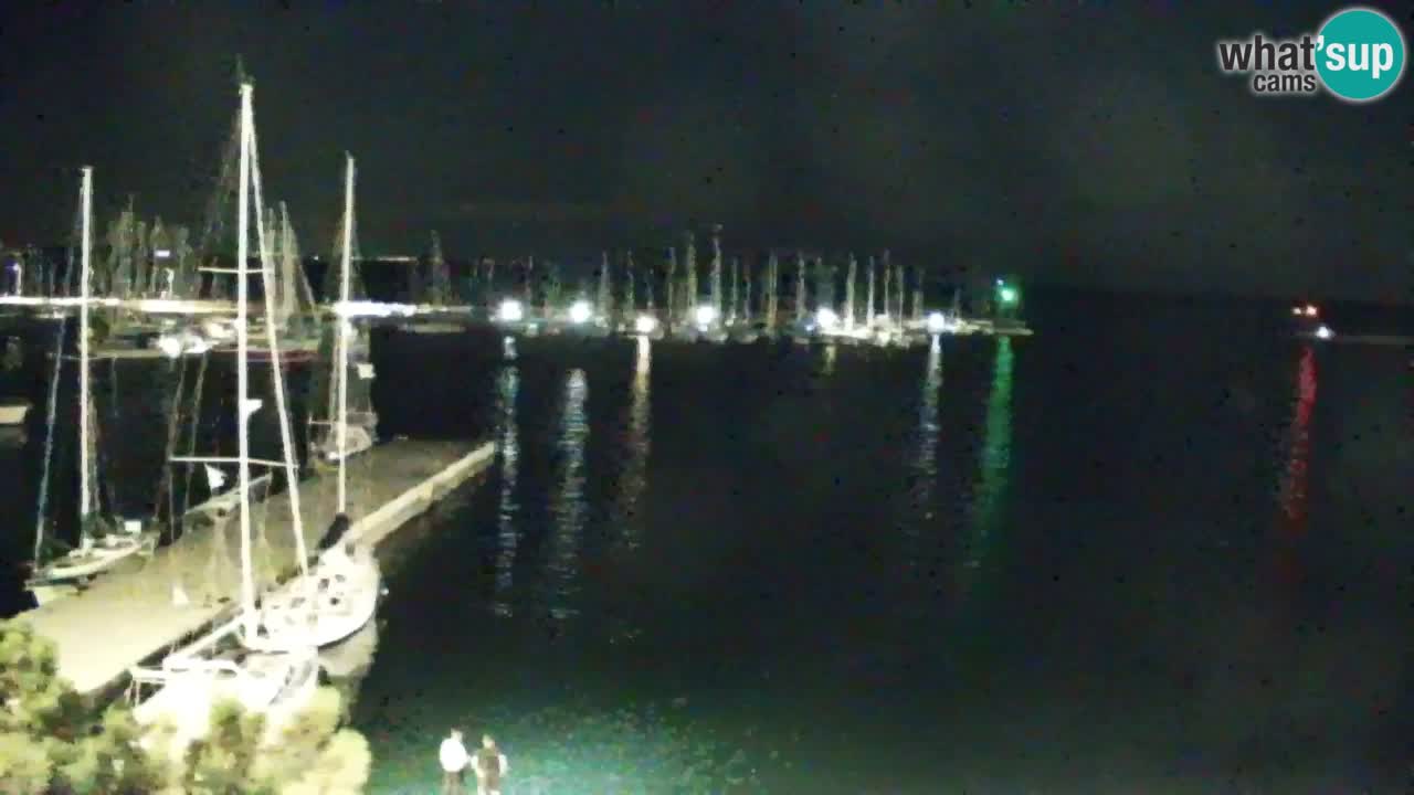 Webcam Sistiana Baia – Live View of the Marina and Gulf
