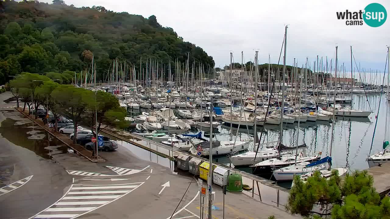 Webcam Sistiana Baia – Live View of the Marina and Gulf