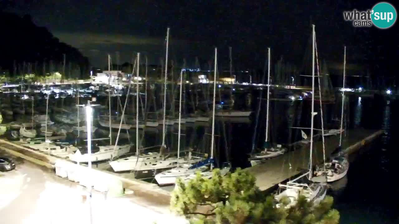 Webcam Bahía de Sistiana – Vista en directo del puerto deportivo y la costa