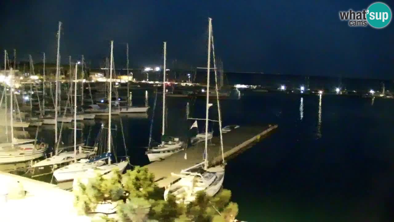 Webcam Sistiana Baia – Live View of the Marina and Gulf