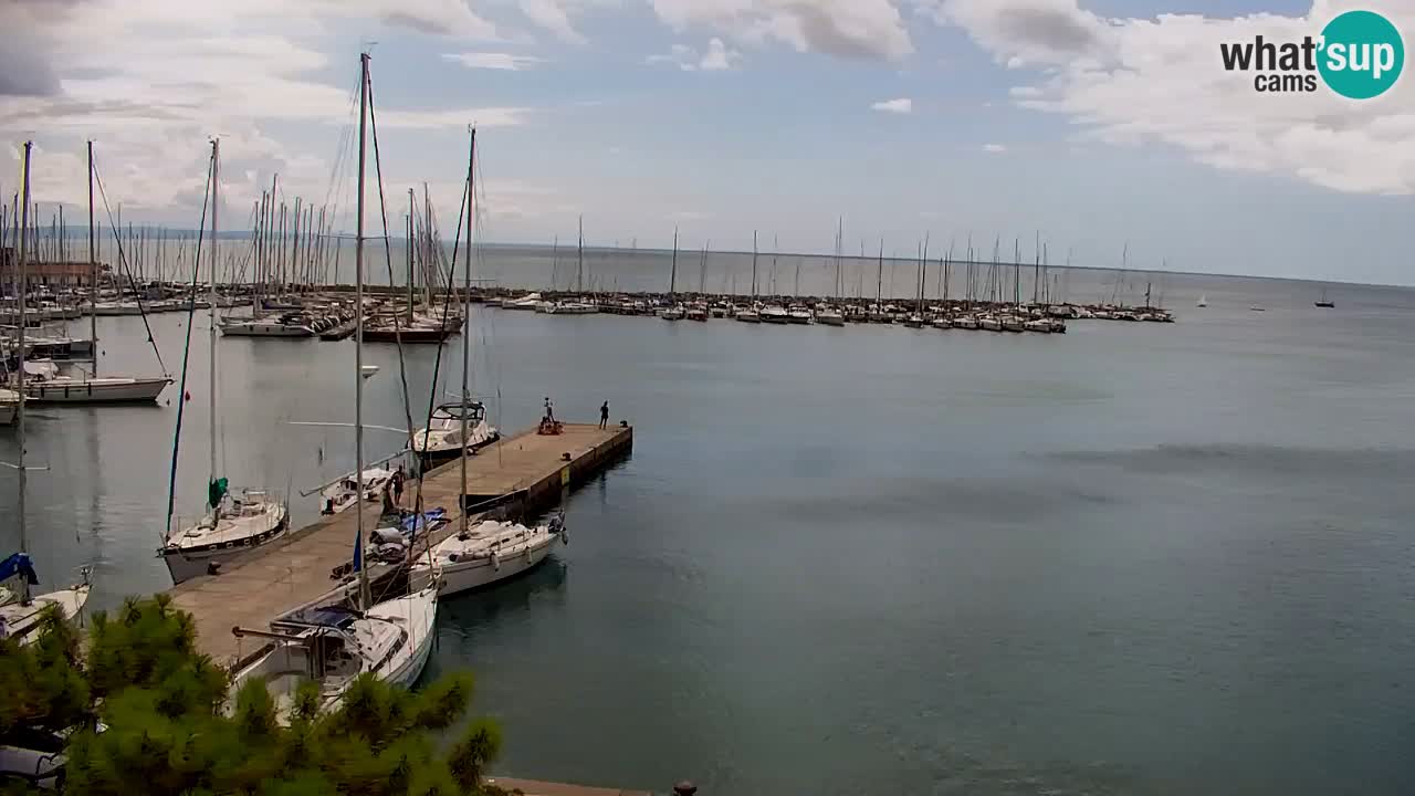 Web kamera Sistiana Uvala – Pogled uživo na marinu i zaljev