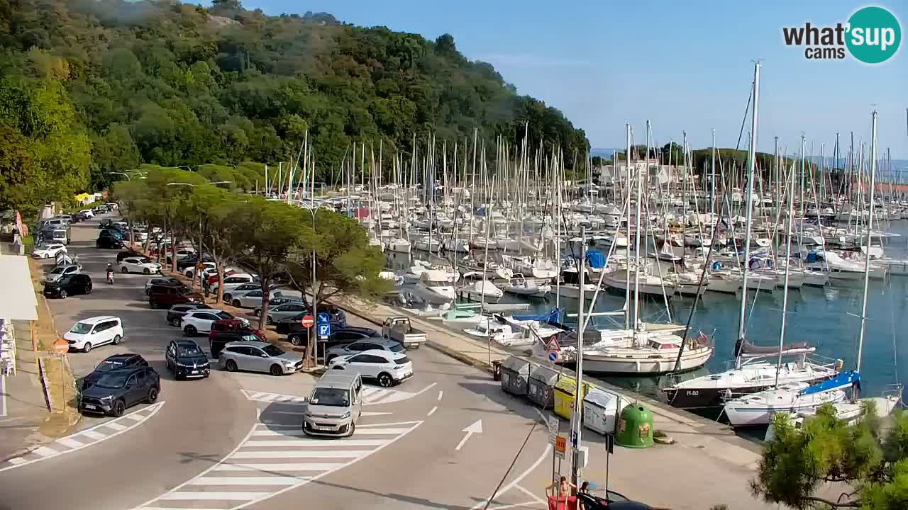 Webcam Sistiana Baia – Live View of the Marina and Gulf
