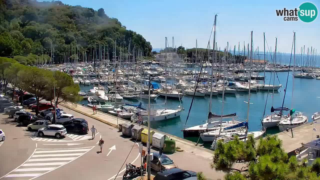 Webcam Sistiana Baia – Live View of the Marina and Gulf
