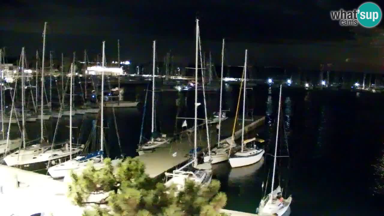 Webcam Sistiana Baia – Live View of the Marina and Gulf