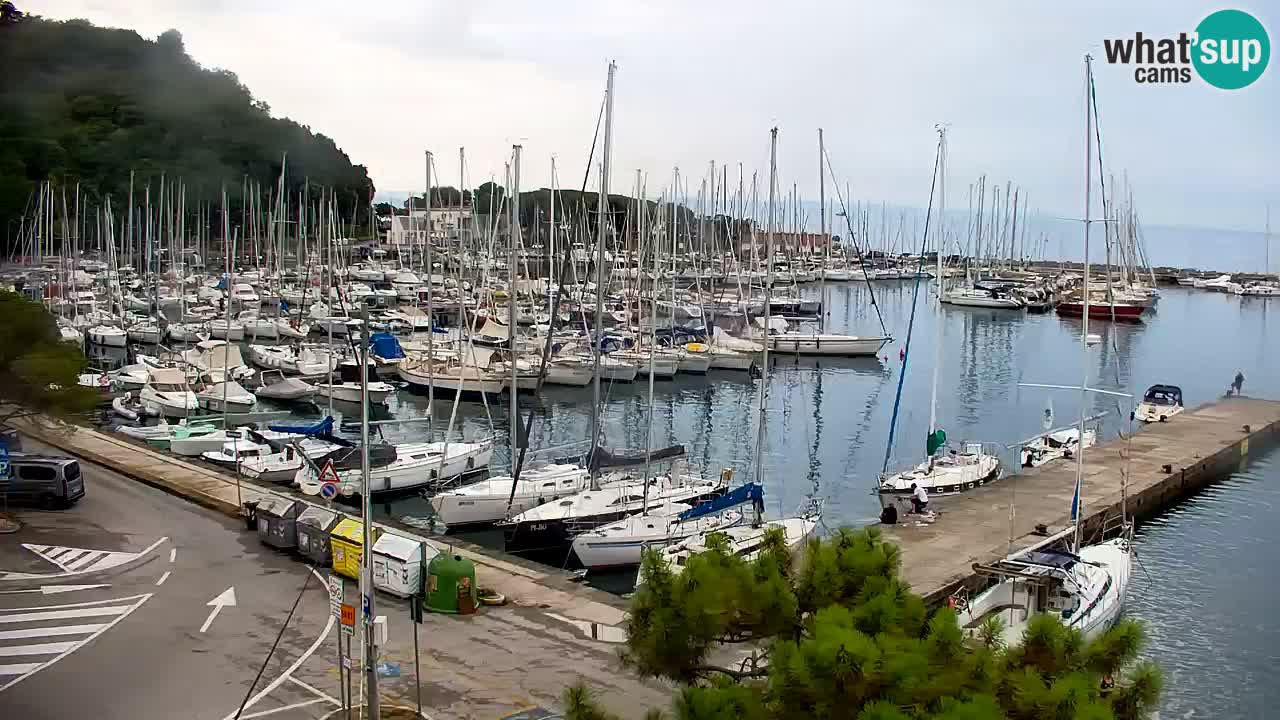 Webcam Sistiana Baia – Live View of the Marina and Gulf