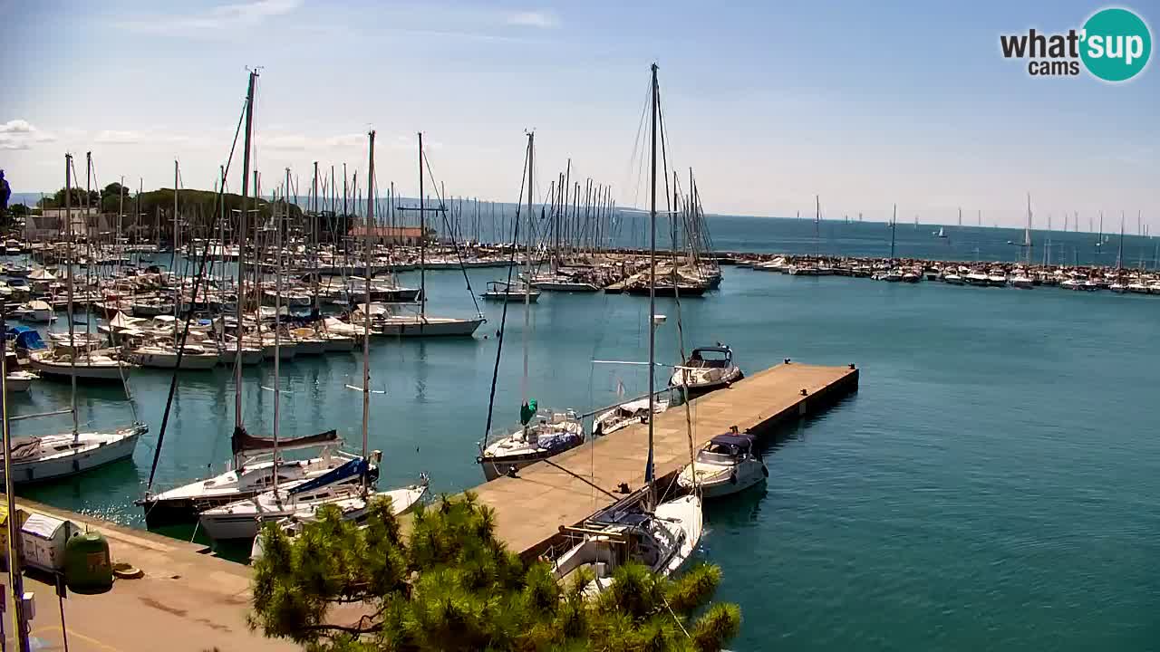 Webcam Sistiana Baia – Live View of the Marina and Gulf