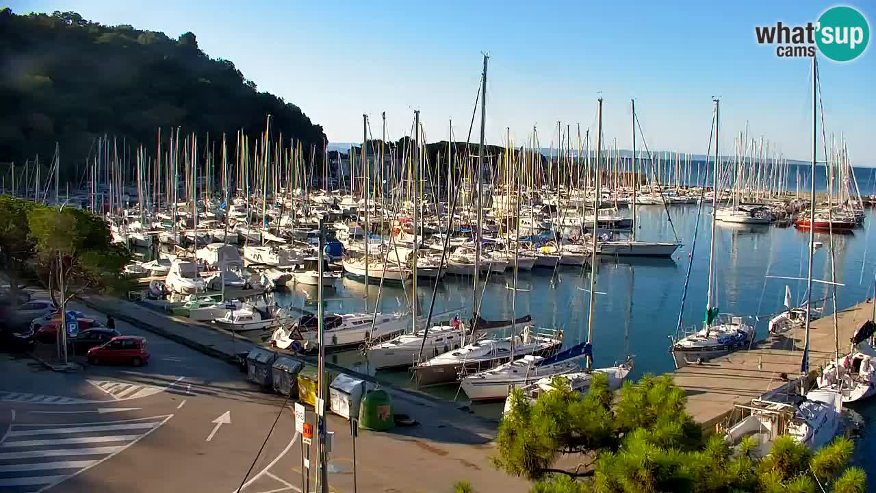 Webcam Bahía de Sistiana – Vista en directo del puerto deportivo y la costa