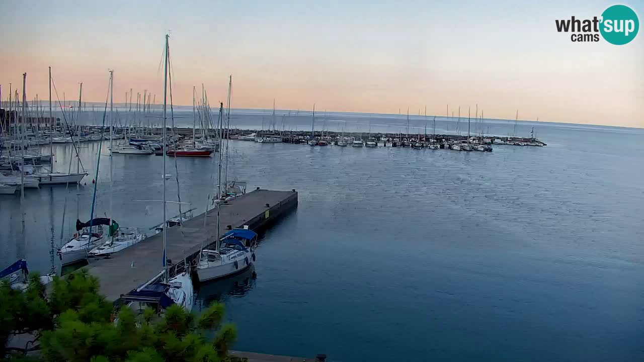 Webcam Sistiana Baia – Live View of the Marina and Gulf