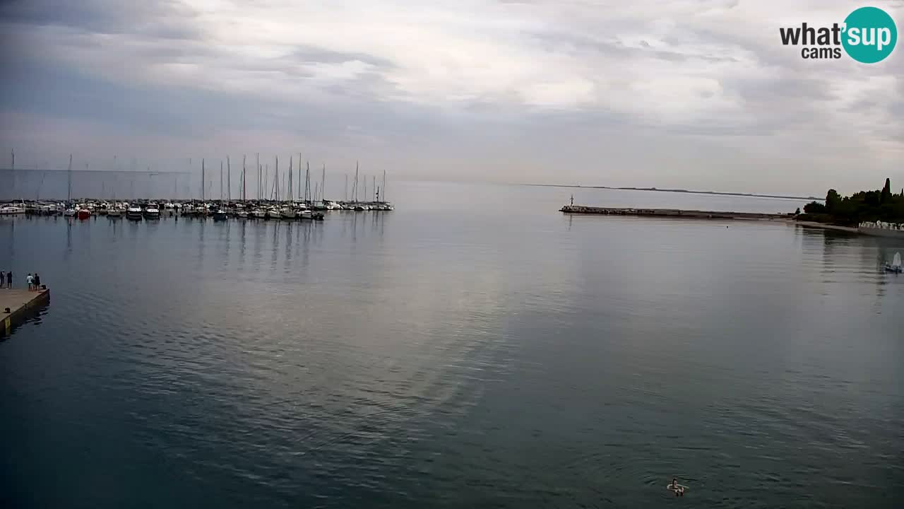 Webcam Sistiana Bucht – Liveblick auf Marina und Bucht