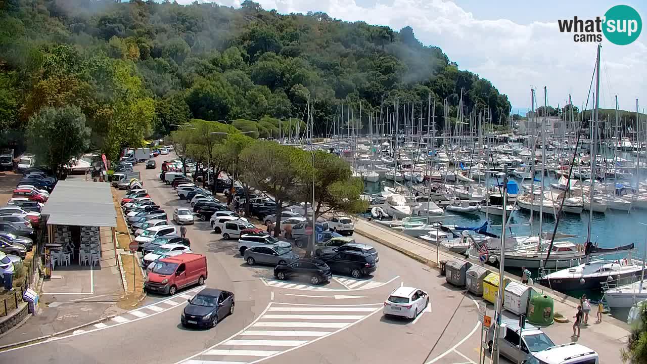 Webcam Bahía de Sistiana – Vista en directo del puerto deportivo y la costa