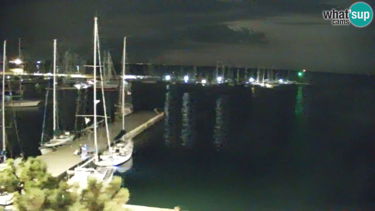Webcam Bahía de Sistiana – Vista en directo del puerto deportivo y la costa