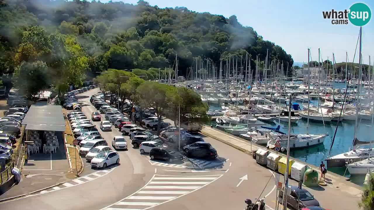 Webcam Bahía de Sistiana – Vista en directo del puerto deportivo y la costa