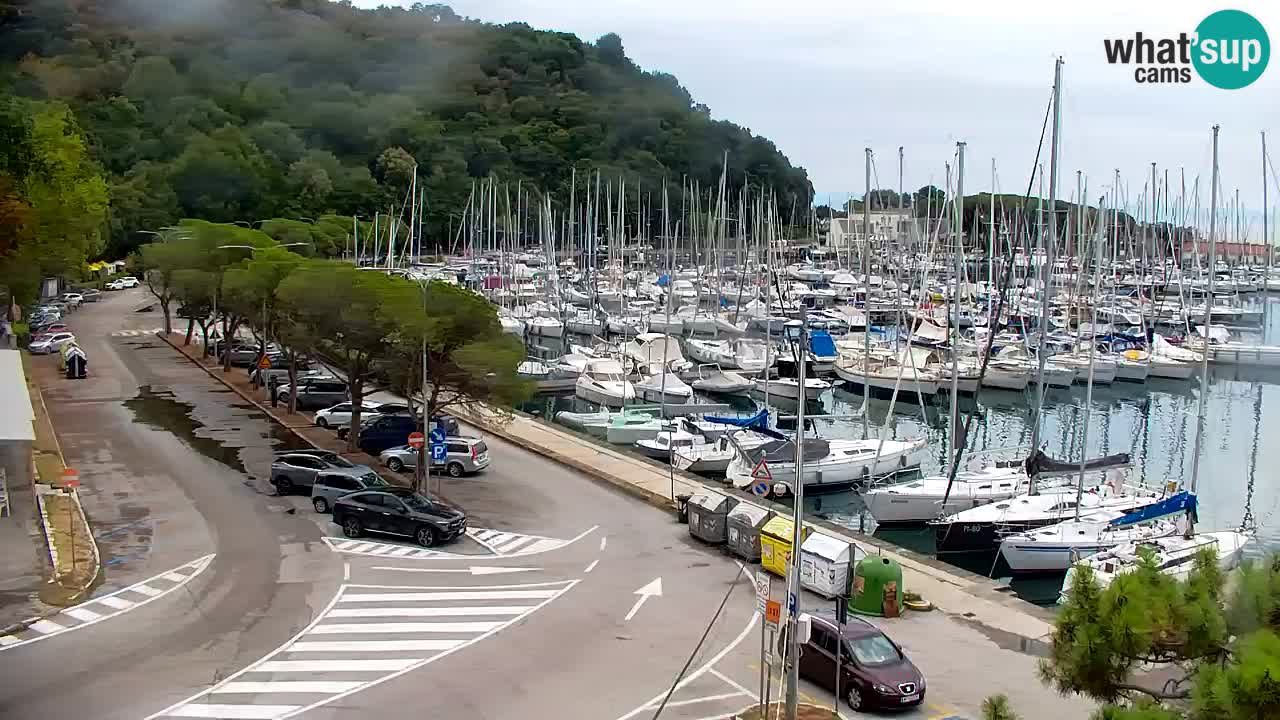 Webcam Sistiana Baia – Live View of the Marina and Gulf