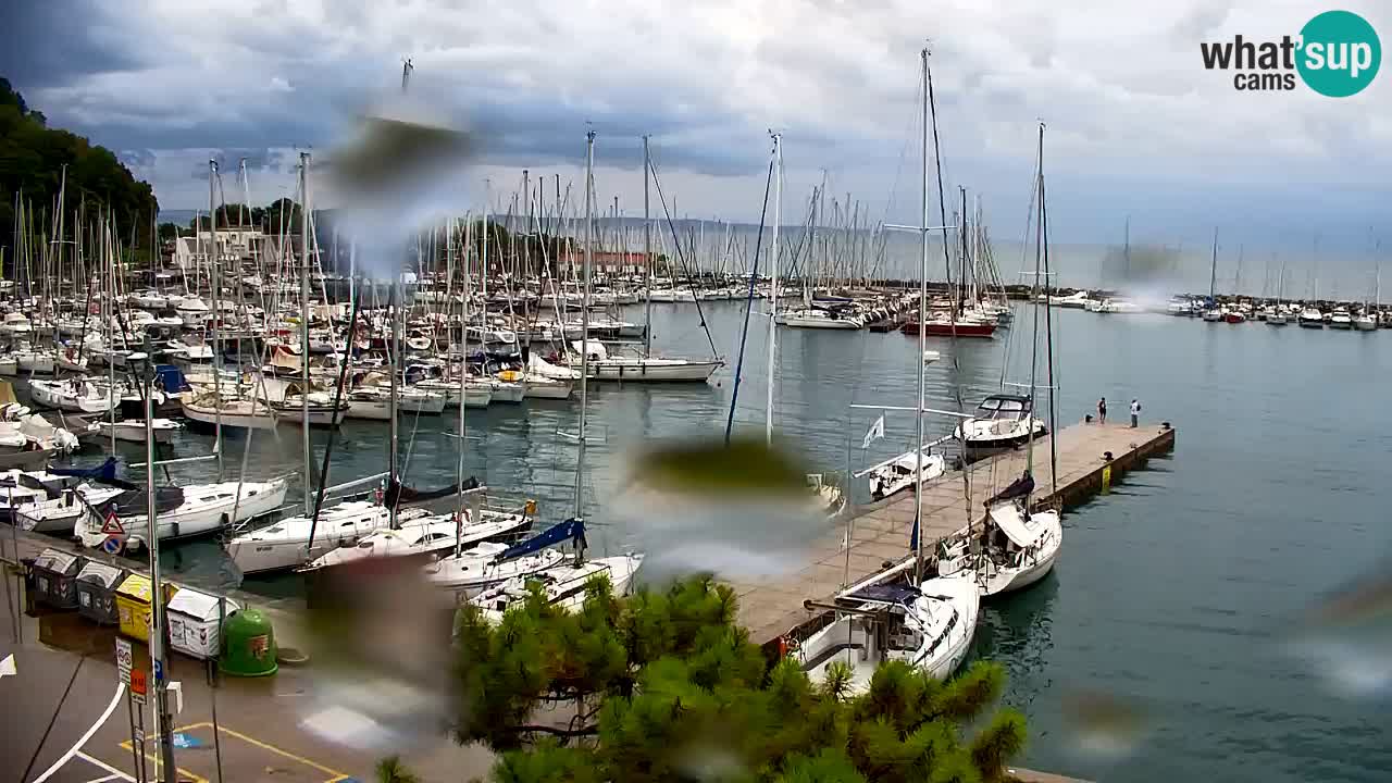 Webcam Bahía de Sistiana – Vista en directo del puerto deportivo y la costa