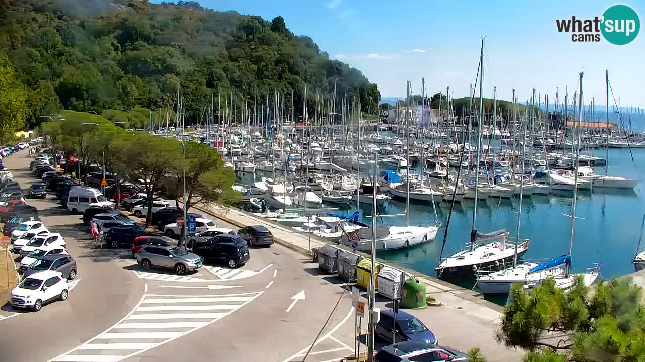Webcam Sistiana Baia – Live View of the Marina and Gulf