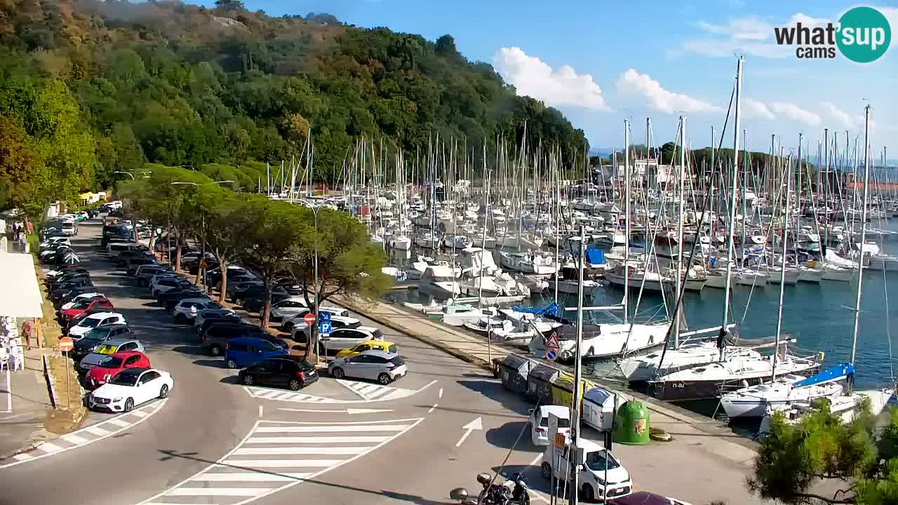 Webcam Sistiana Baia – Live View of the Marina and Gulf