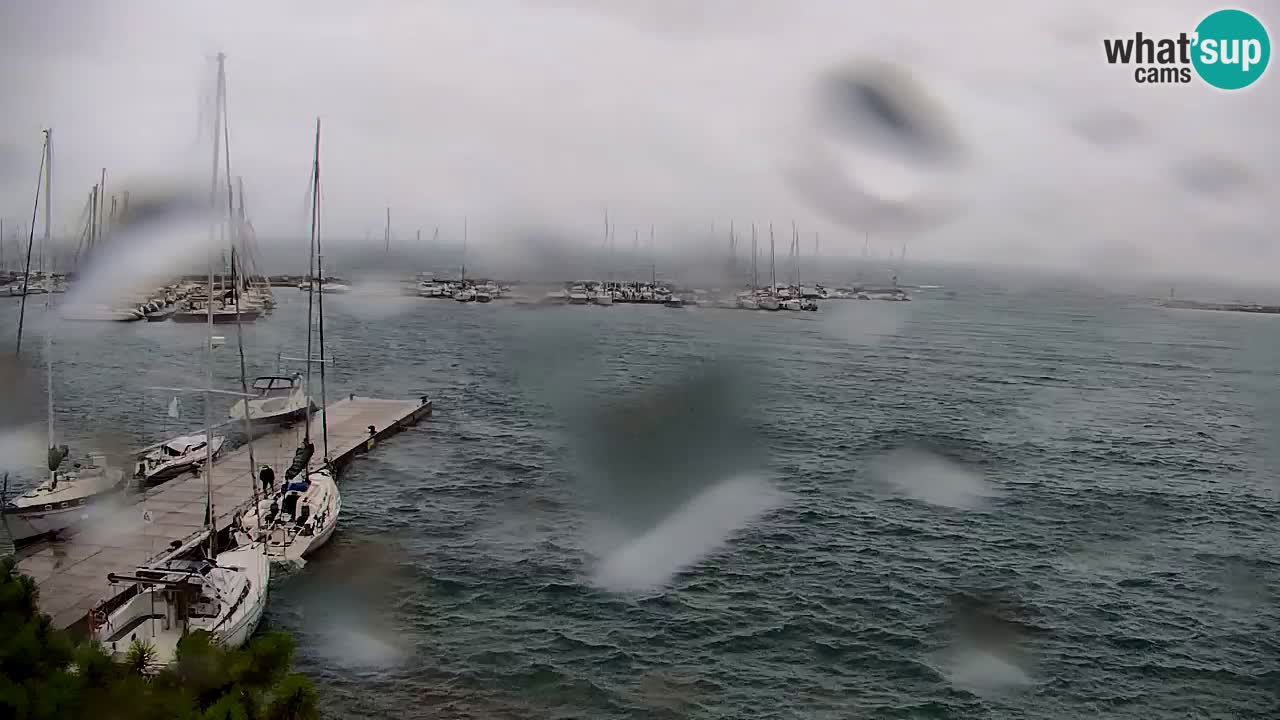 Webcam Sistiana Baia – Live View of the Marina and Gulf