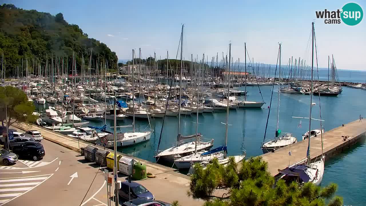 Webcam Bahía de Sistiana – Vista en directo del puerto deportivo y la costa