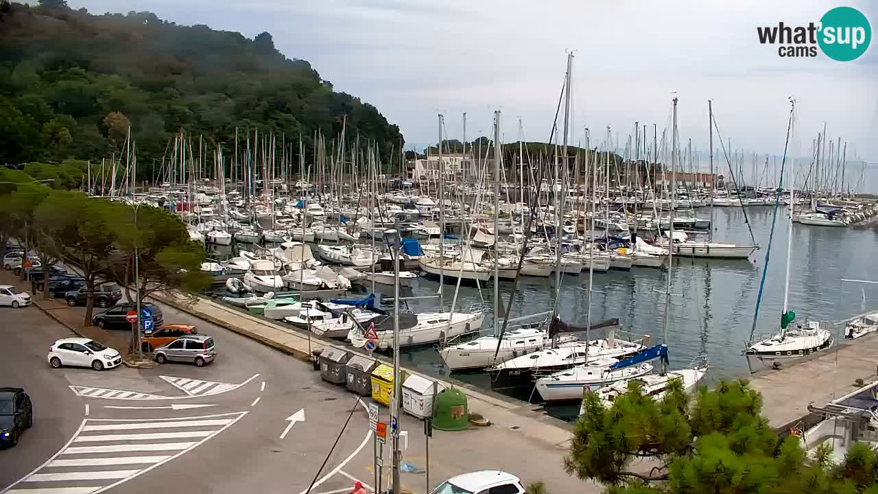 Webcam Baie de Sistiana – Vue en direct de la marina et de la baie