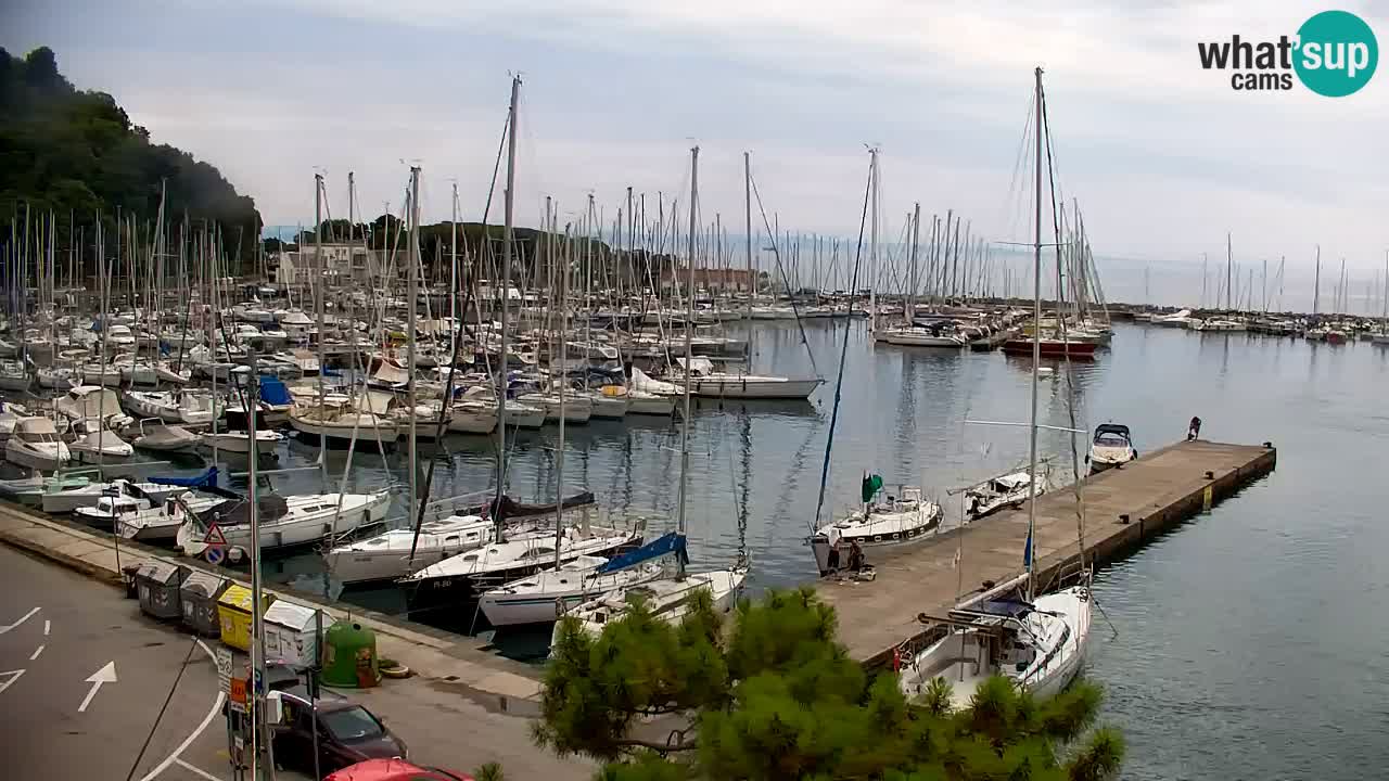 Webcam Sistiana Bucht – Liveblick auf Marina und Bucht