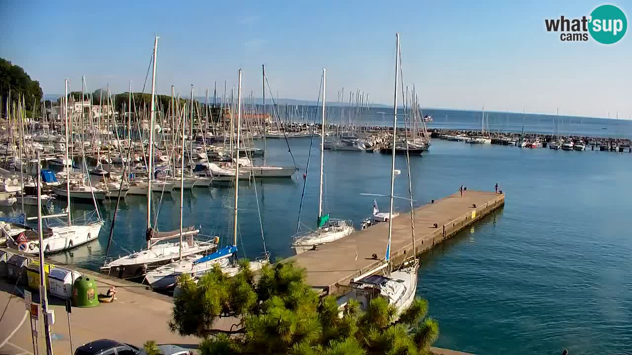 Webcam Sistiana Baia – Live View of the Marina and Gulf