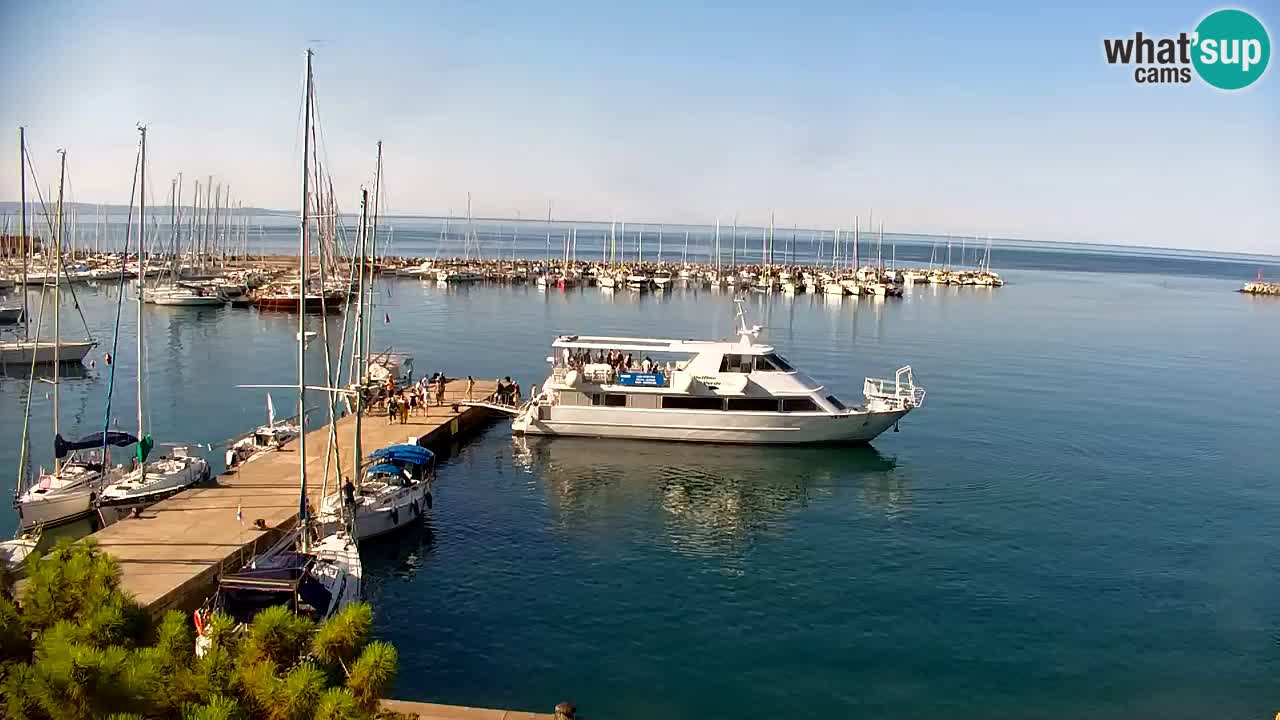 Webcam Sistiana Baia – Live View of the Marina and Gulf