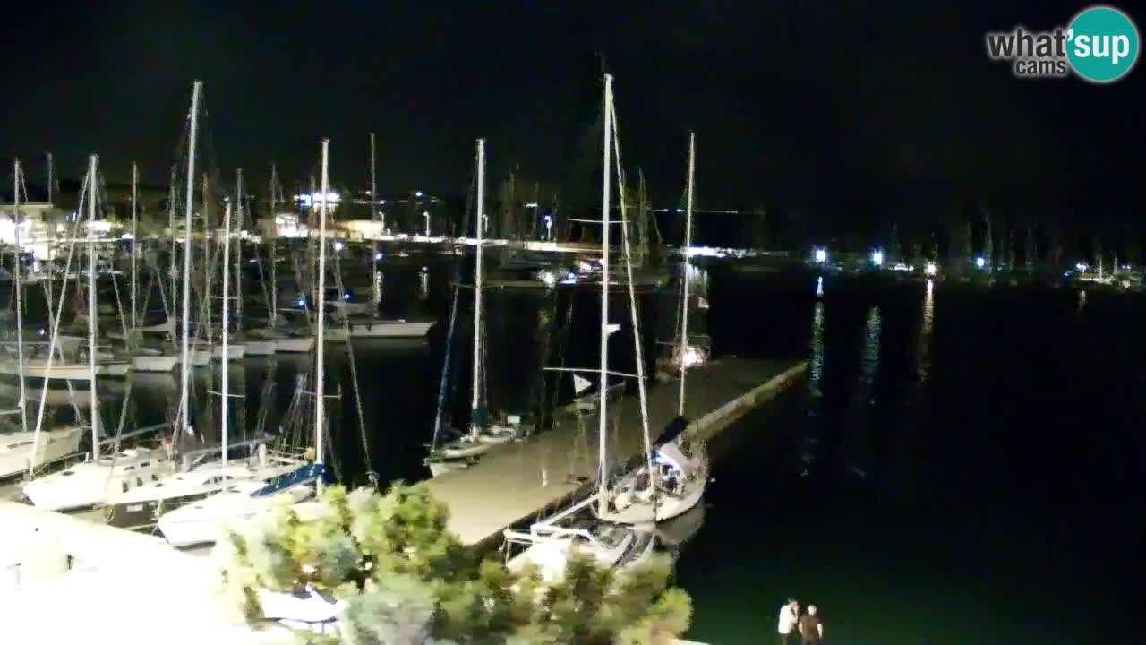 Webcam Sistiana Baia – Live View of the Marina and Gulf