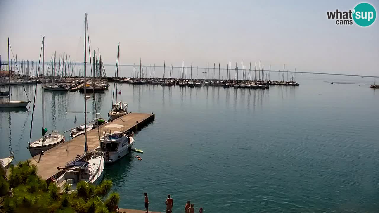 Webcam Sistiana Baia – Live View of the Marina and Gulf