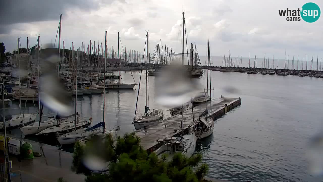Webcam Sistiana Baia – Live View of the Marina and Gulf