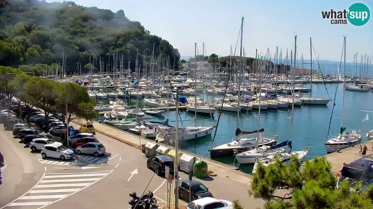 Webcam Sistiana Baia – Live View of the Marina and Gulf
