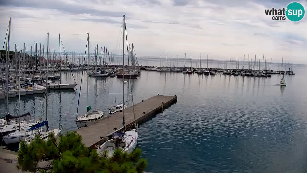 Webcam Bahía de Sistiana – Vista en directo del puerto deportivo y la costa