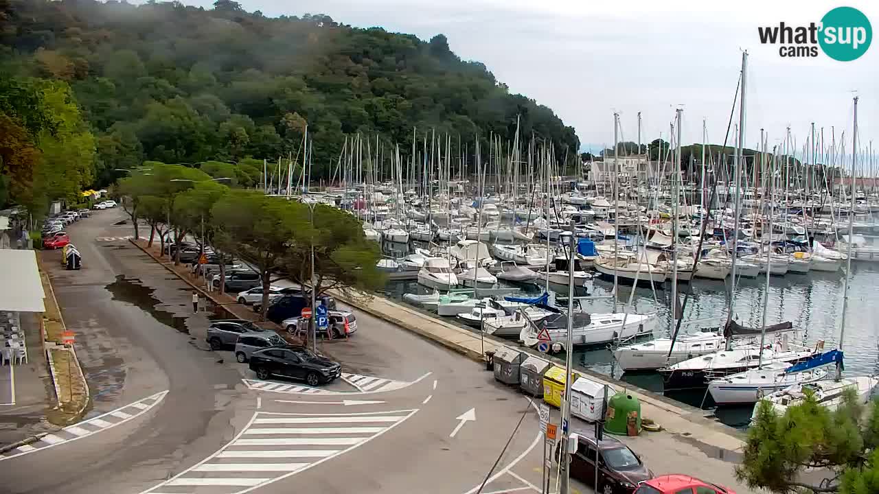 Webcam Sistiana Baia – Live View of the Marina and Gulf