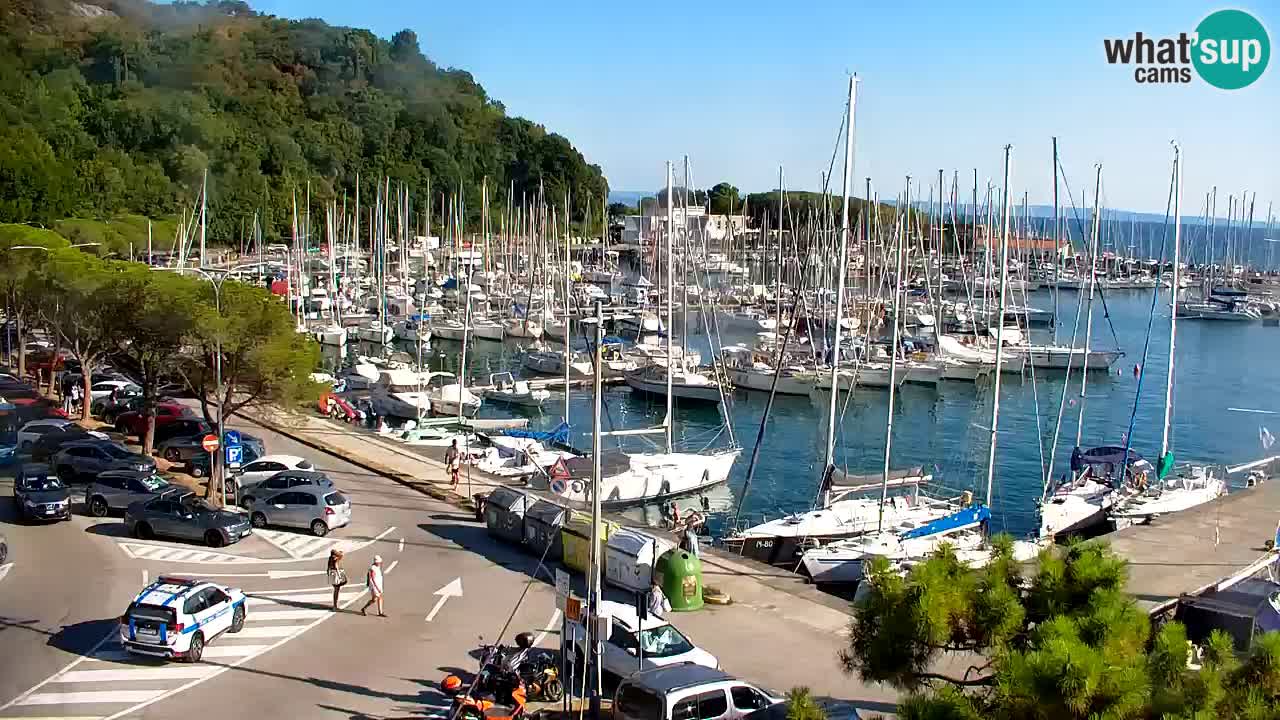 Webcam Bahía de Sistiana – Vista en directo del puerto deportivo y la costa