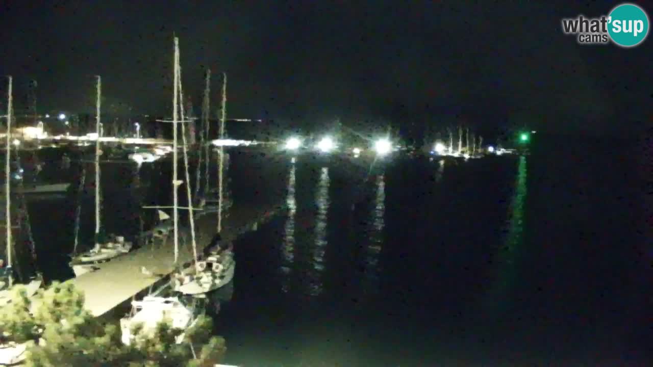 Webcam Bahía de Sistiana – Vista en directo del puerto deportivo y la costa