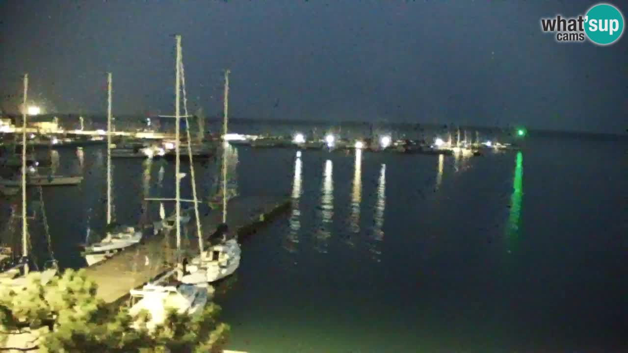 Webcam Sistiana Baia – Live View of the Marina and Gulf