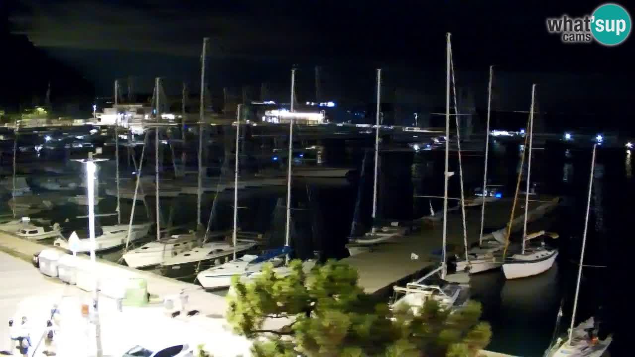Webcam Bahía de Sistiana – Vista en directo del puerto deportivo y la costa