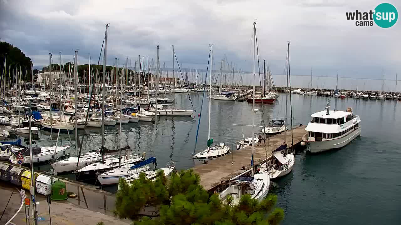 Webcam Sistiana Baia – Live View of the Marina and Gulf