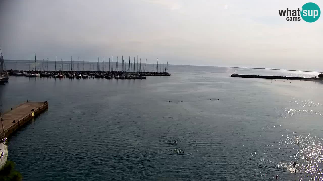 Webcam Baie de Sistiana – Vue en direct de la marina et de la baie
