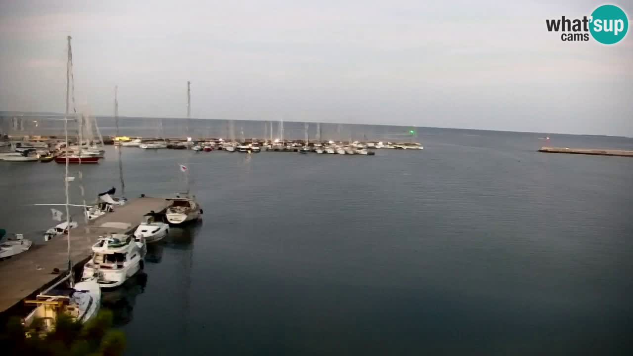 Web kamera Sistiana Uvala – Pogled uživo na marinu i zaljev