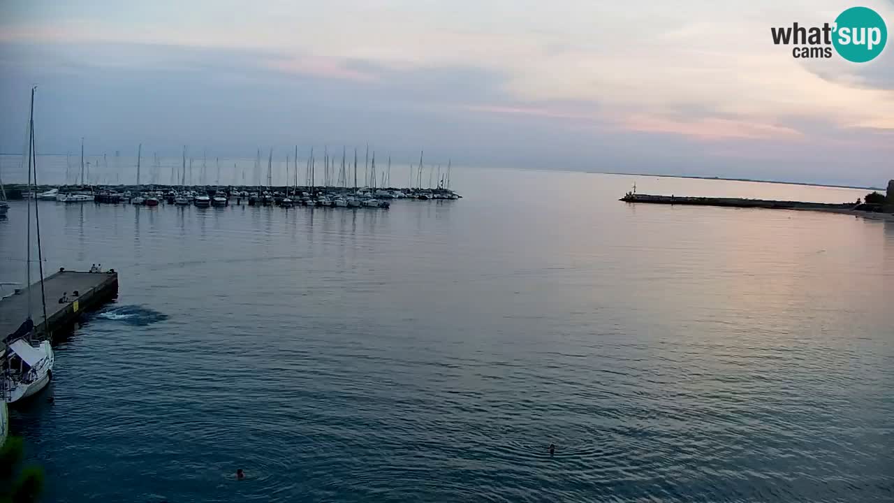 Webcam Sistiana Baia – Live View of the Marina and Gulf