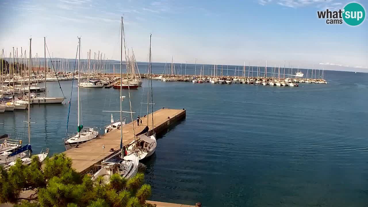 Webcam Bahía de Sistiana – Vista en directo del puerto deportivo y la costa